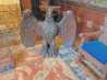 20260806_115628.jpg