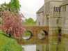 Baddesley-P1150377.JPG