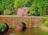 Baddesley-P1150401.JPG