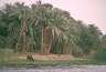 116-Nile-sep30-007.jpg