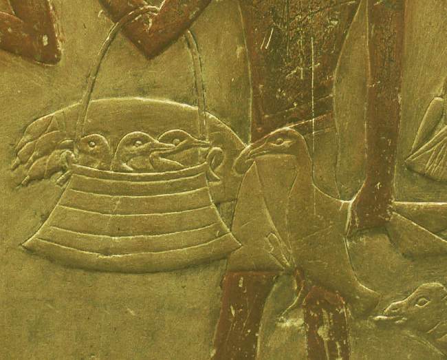 179-Saqqara-oct-2-039a.jpg