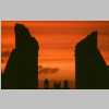 22-glastonbury-sunset-3-sc.jpg