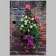 08-Harvington-576A4053.JPG