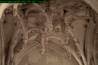 43c-IMG_3824.JPG