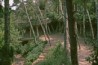 barcelona-guelle-19-park-2-031.jpg