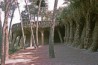 barcelona-guelle-20-park-3-011.jpg