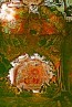 toledo-translucent-5-040.jpg