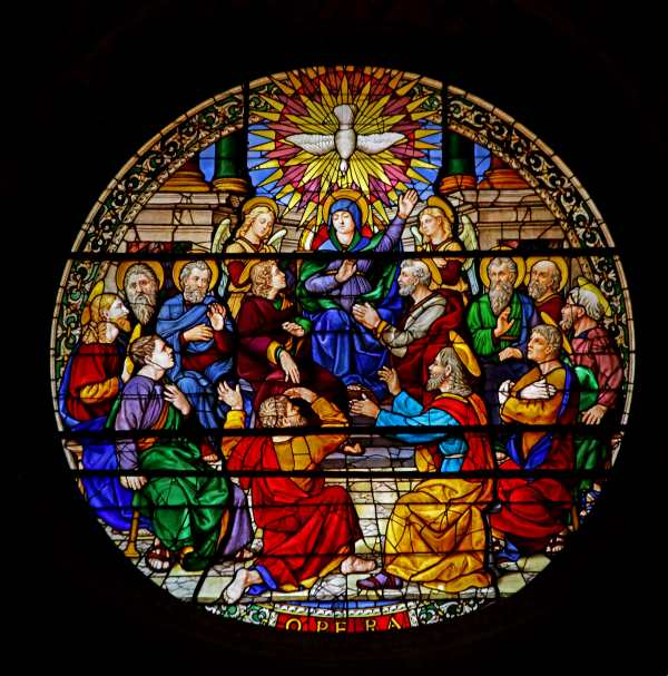 Arezzo duomo stained glass